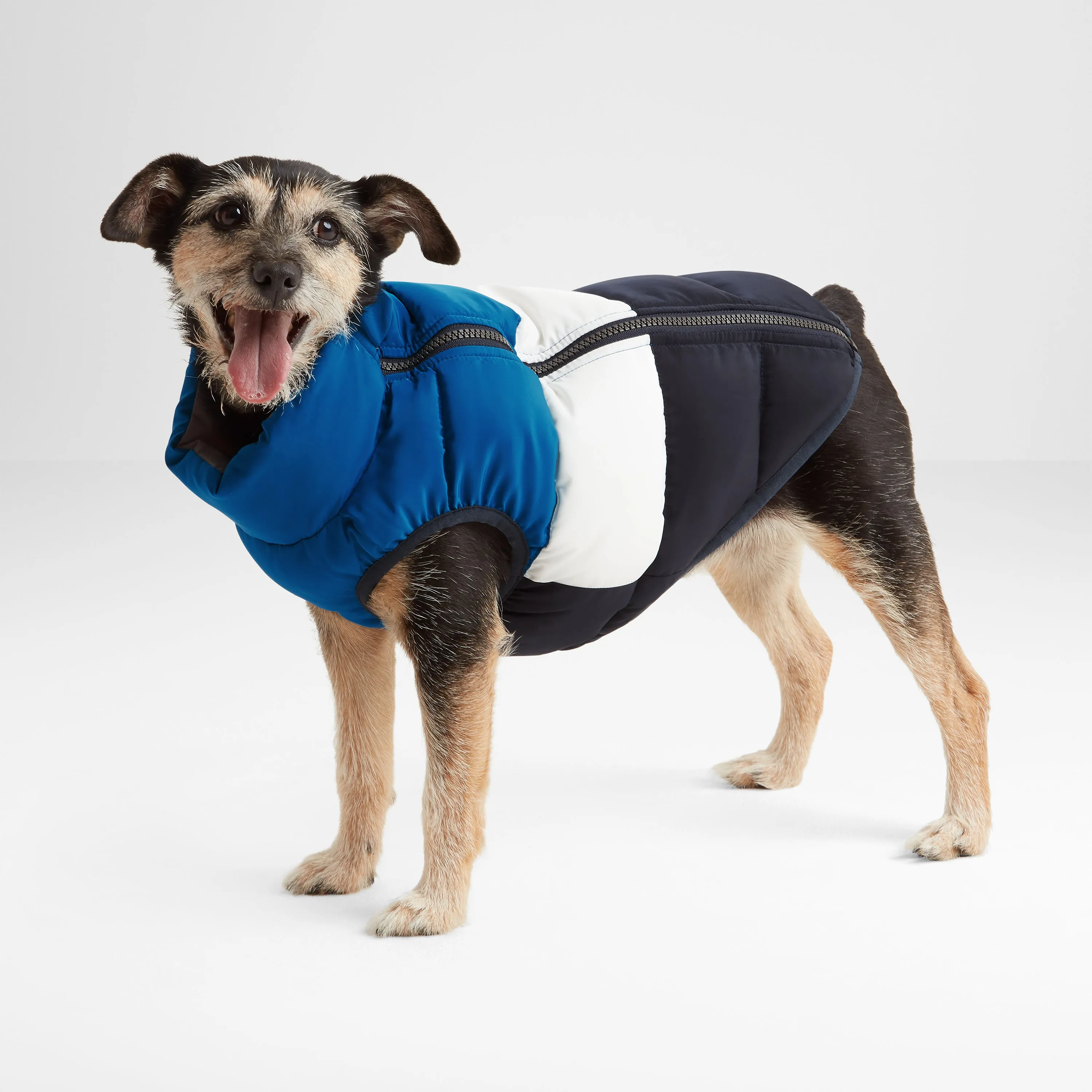 Fetch Padded Dog Coat S - Peacock Blue/Dark Indigo/Optic White