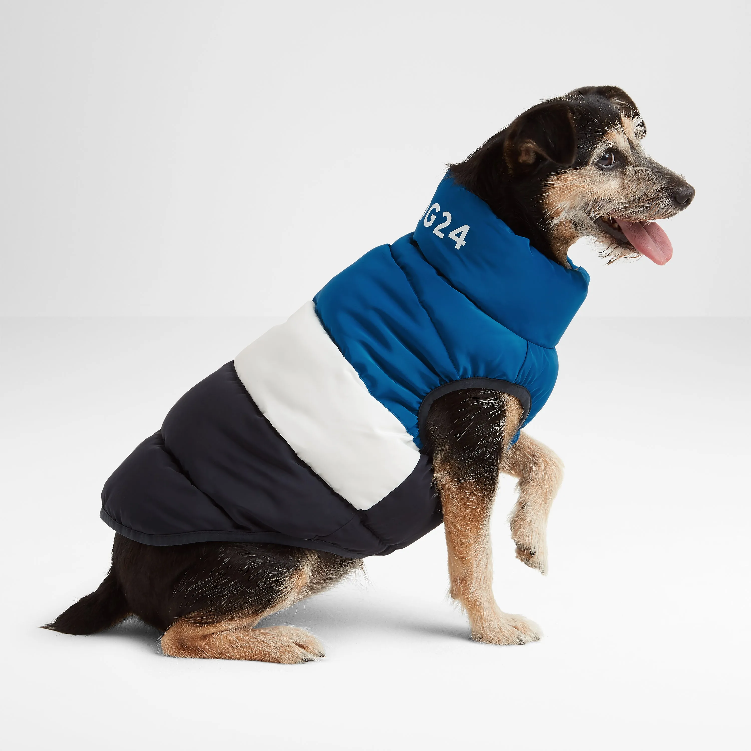 Fetch Padded Dog Coat S - Peacock Blue/Dark Indigo/Optic White