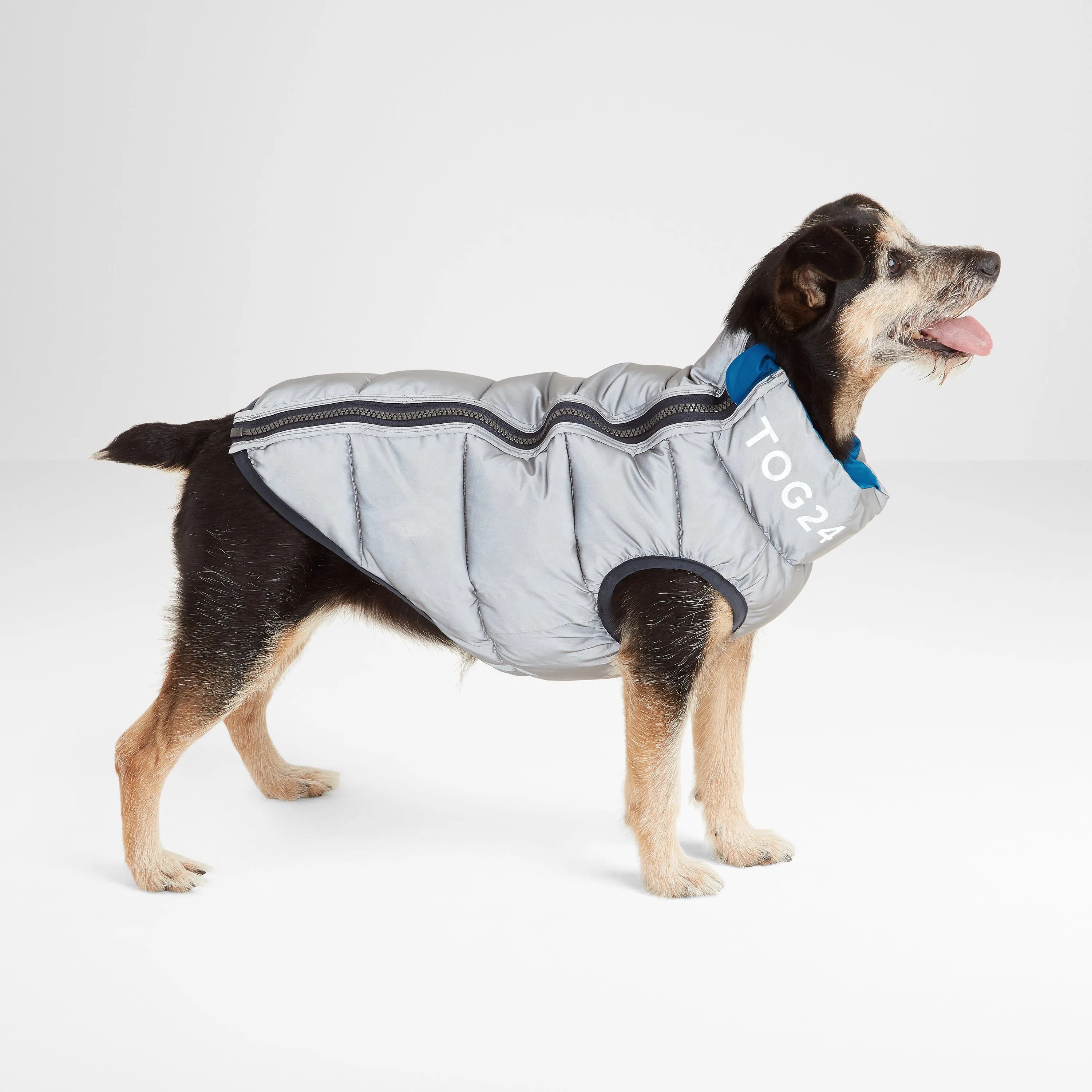 Fetch Padded Dog Coat S - Peacock Blue/Dark Indigo/Optic White