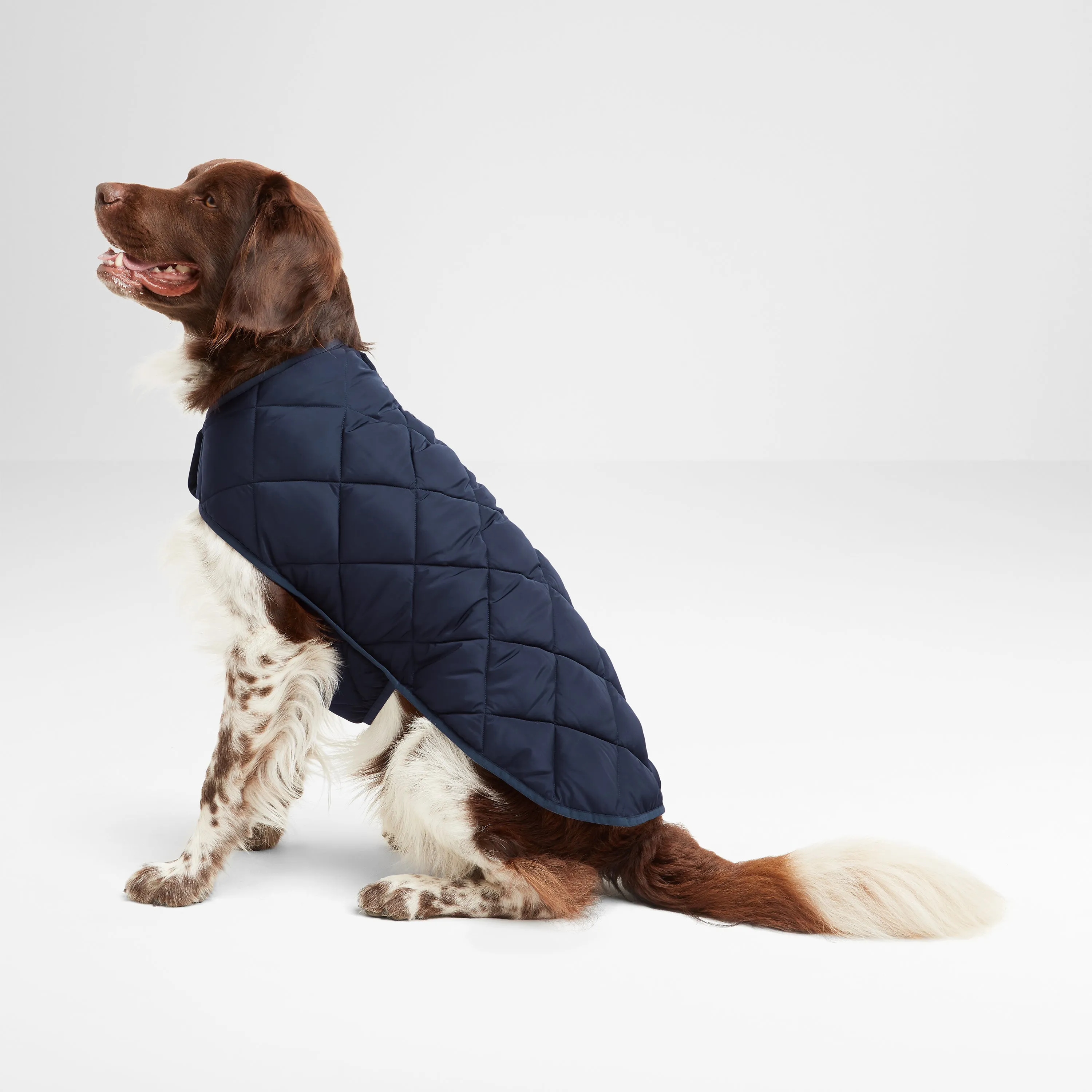 Fido Padded Dog Coat XL - Dark Indigo