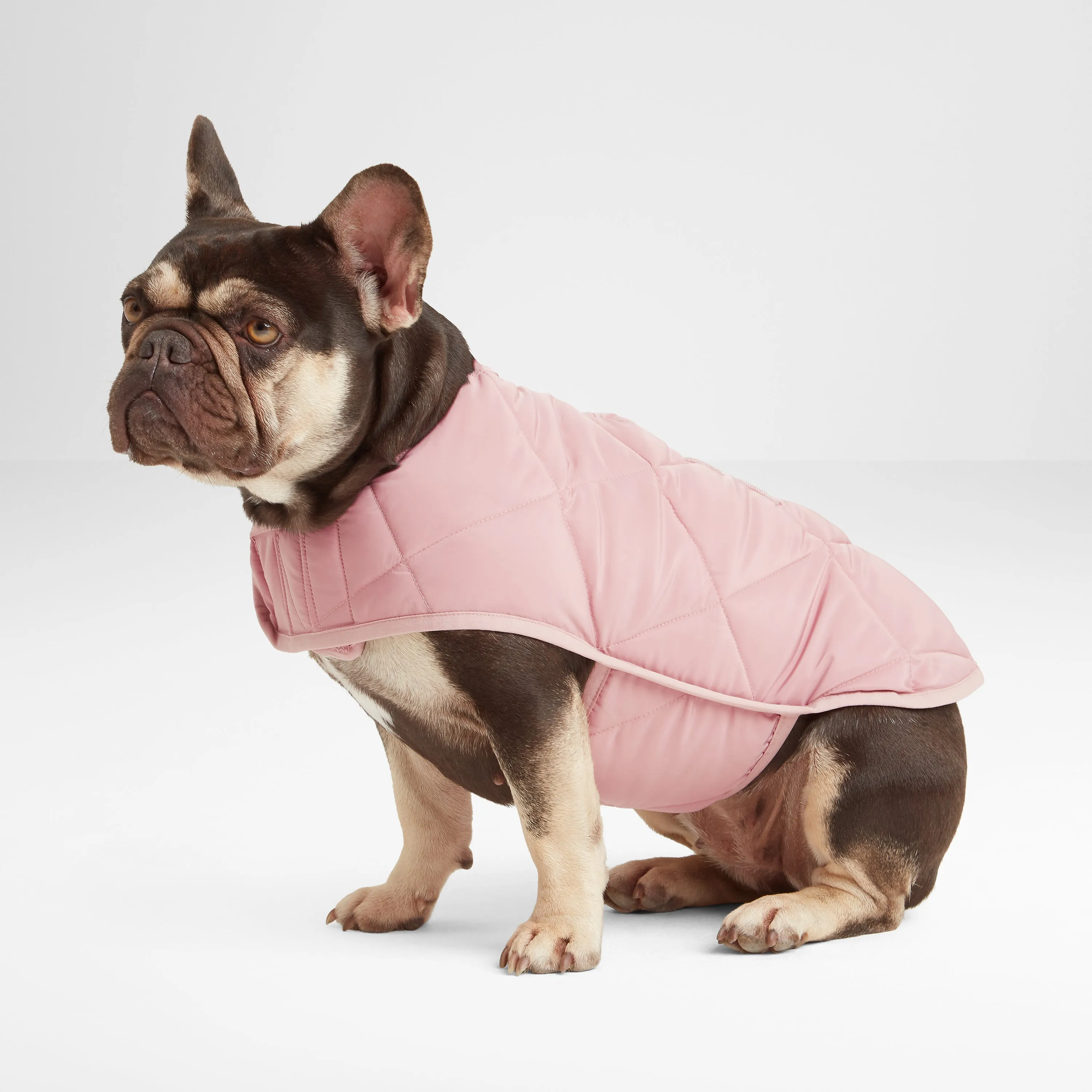 Fido Padded Dog Coat XS - Faded Pink