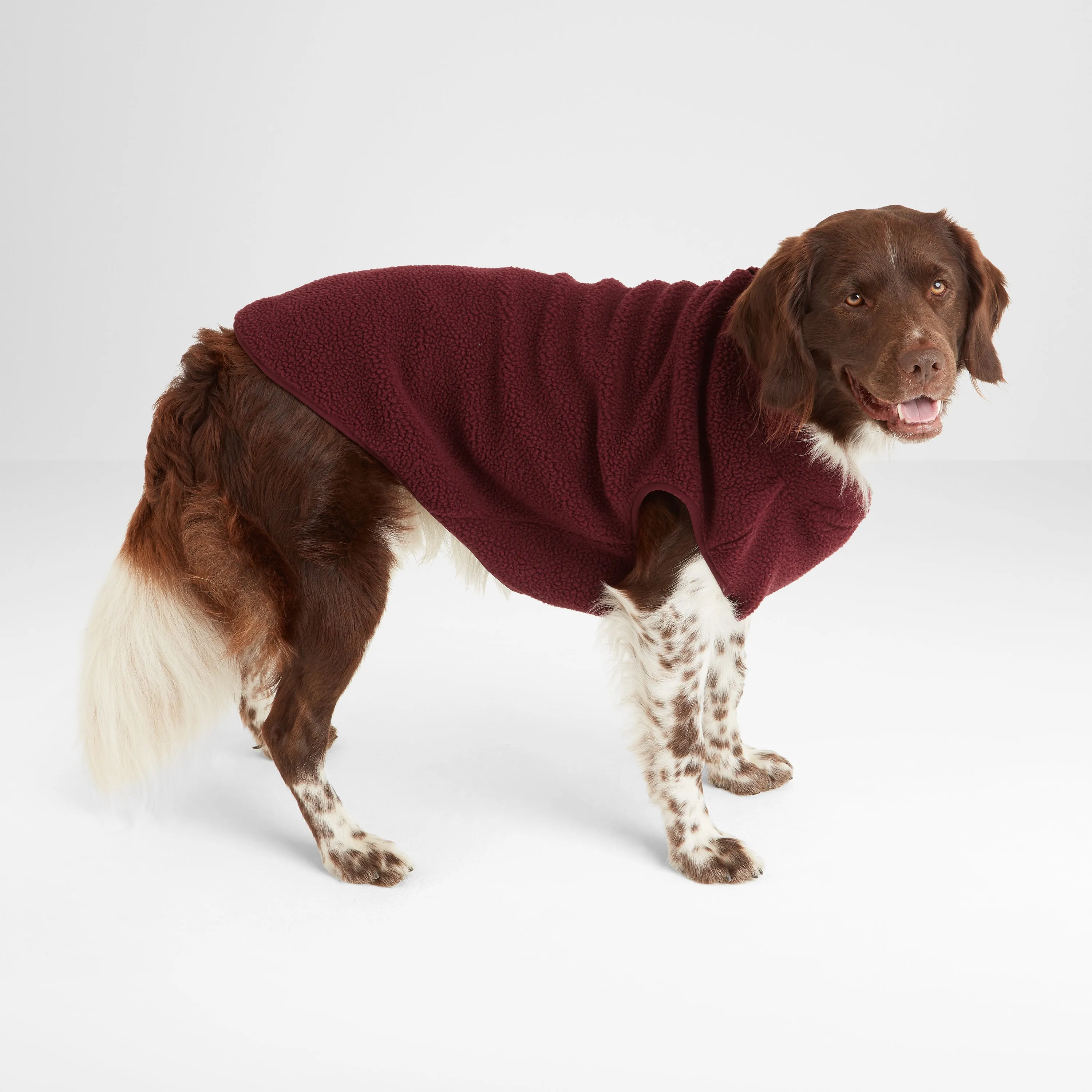 Rover Sherpa Dog Coat L - Maroon