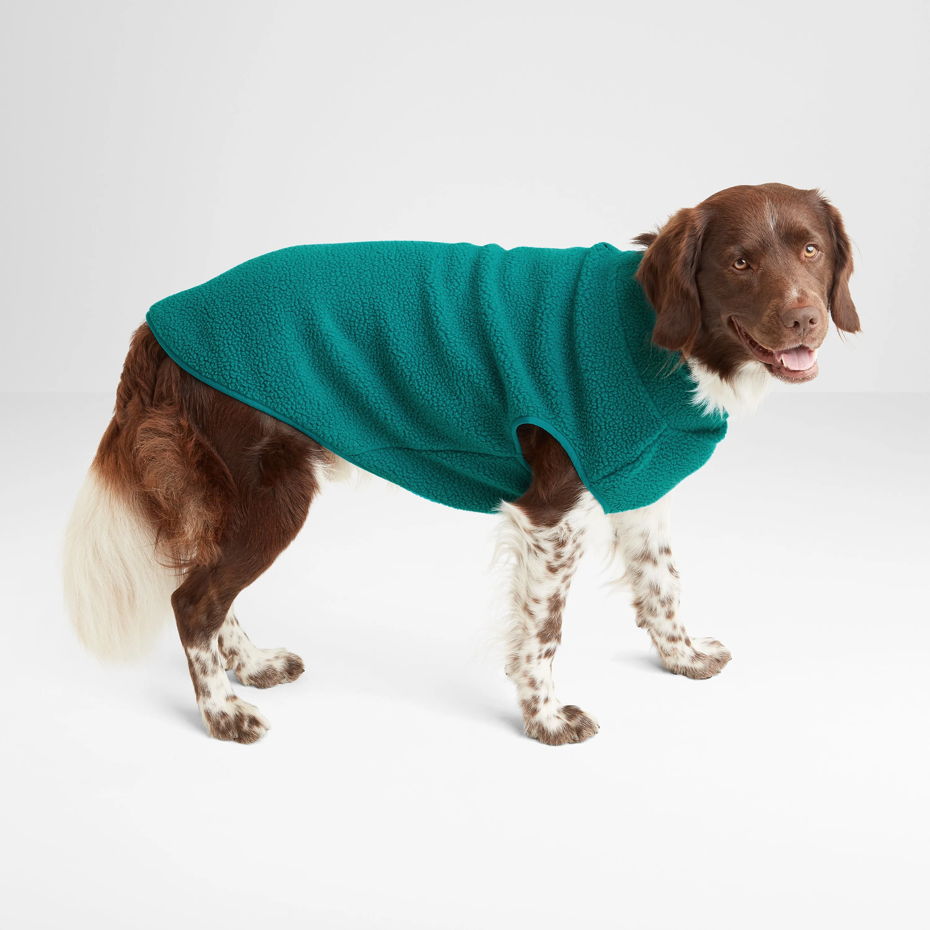 Rover Sherpa Dog Coat L - Teal