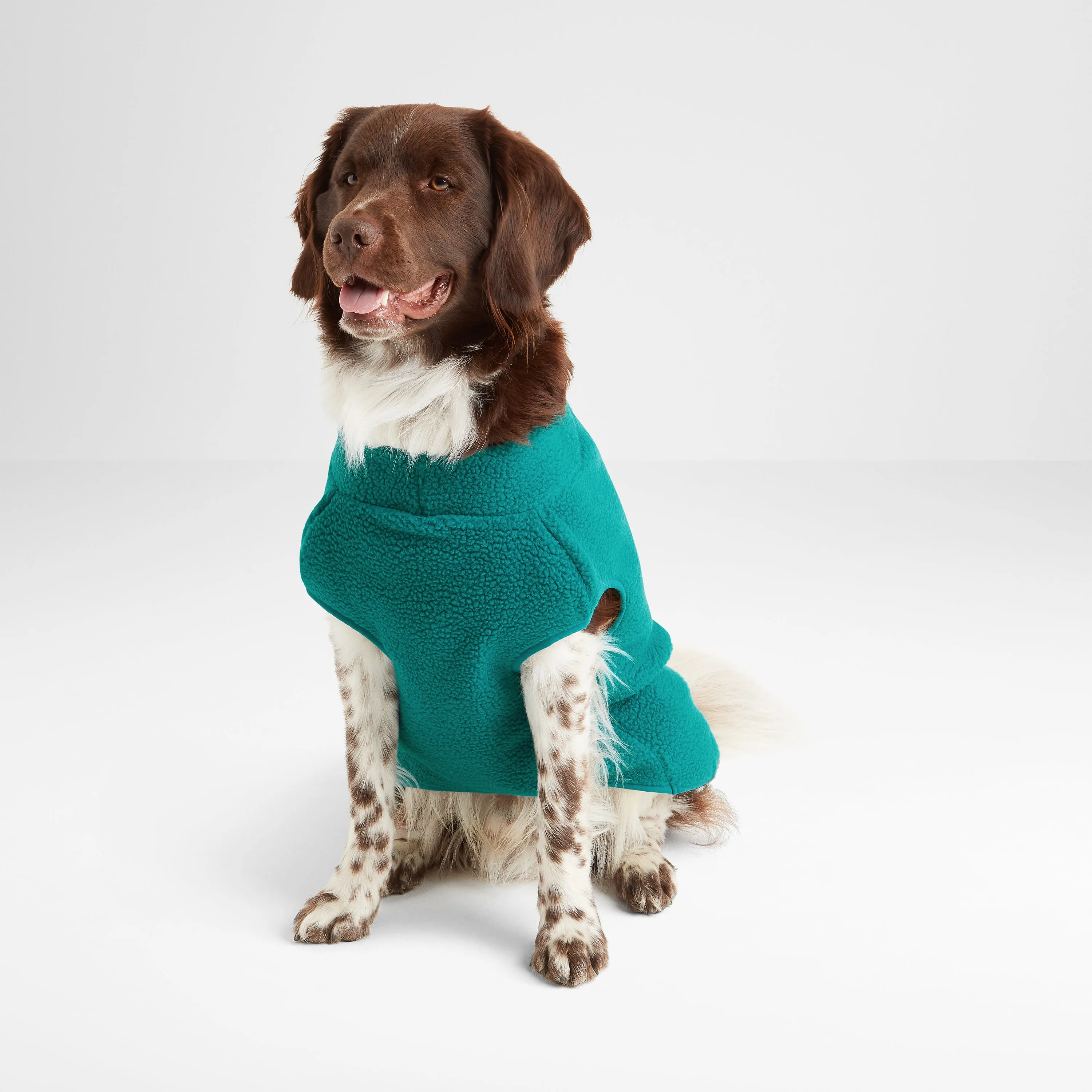 Rover Sherpa Dog Coat L - Teal